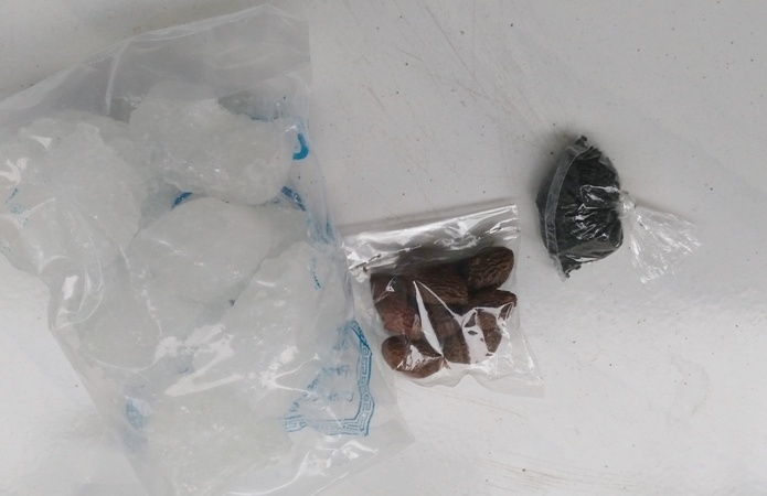 Buah Tempayang Redakan Batuk Akut oleh Bambang Setyawan Buah Tempayang Redakan Batuk Akut oleh Bambang Setyawan