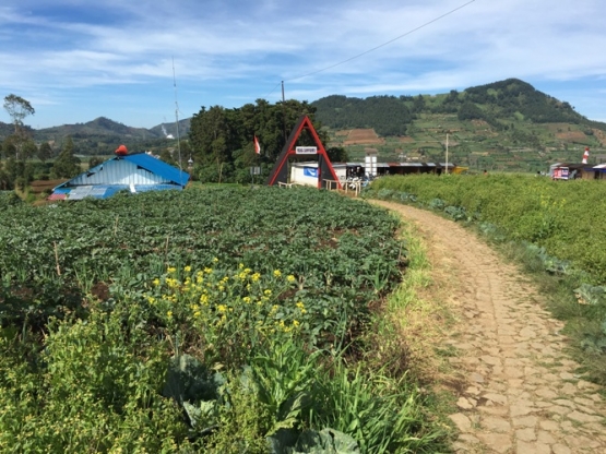kembali ke basecamp saat matahari sudah terbit