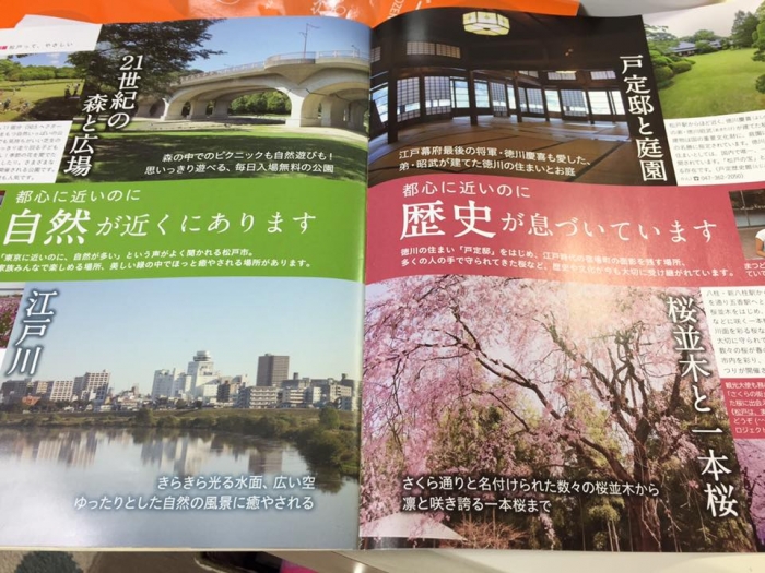 Seperti Ini Cara Jepang  Merayu Warga Untuk Pindah Rumah   Seperti Ini Cara Jepang  Merayu Warga Untuk Pindah Rumah