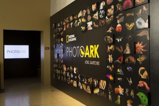 Pameran di Washington, FOTO: washingtonian.com
