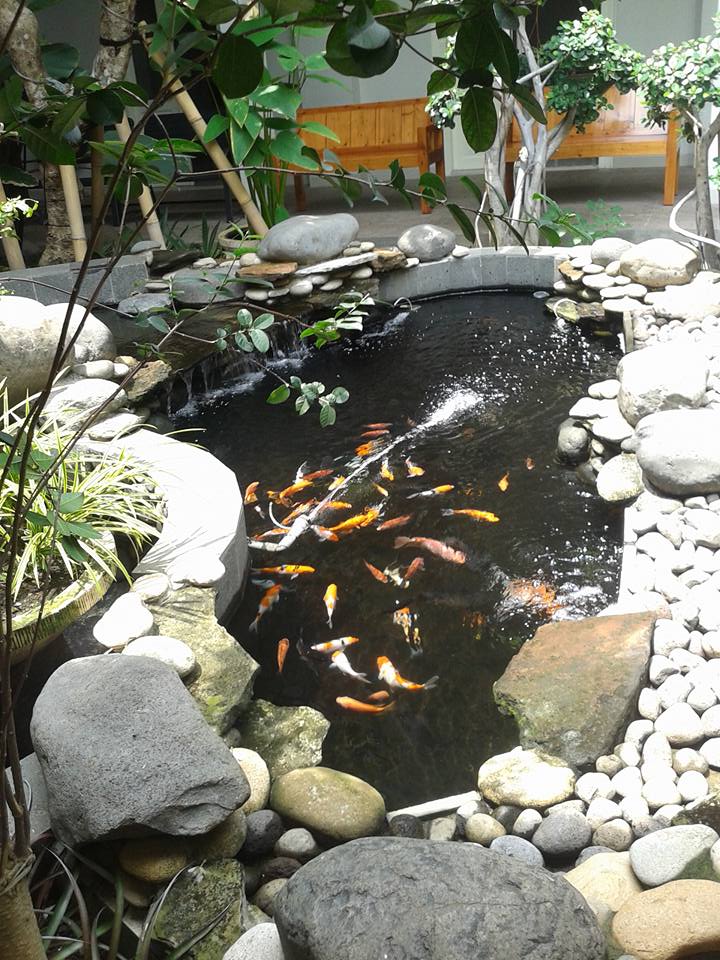 taman-resto-57e90a448423bd5f209fd1cd.jpg
