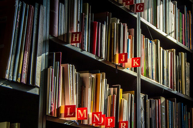 Ilustrasi: Buku-buku sastra pada rak. | pixabay.com