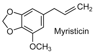 Senyawa miristrisin dalam pala.