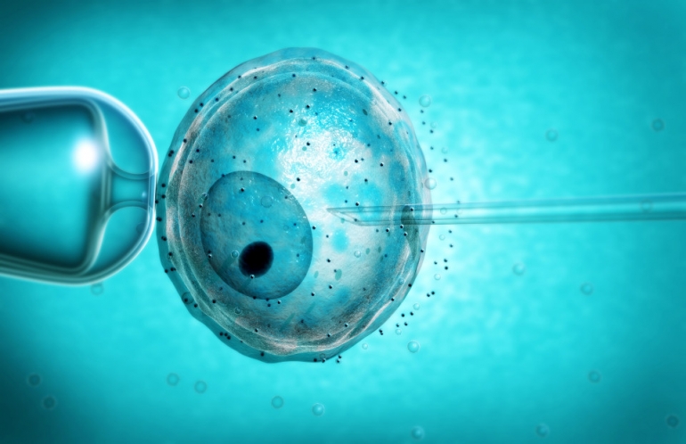 Mitokondria sel telur di transfer dengan mikro pipet. Sumber: www.thesun.co.uk