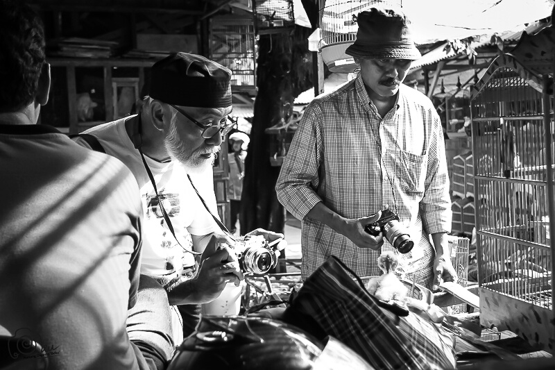 Pak Fendi Siregar di pasar burung Tonatan Ponorogo