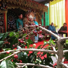 Ini wedding party ditengah ladang kopi, di Kampung Paya Tumpi Aceh Tengah, 3 Oktober 2016 [Foto: dokpri]