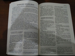Injil Yohanes dalam La Bible du Semeur: Nouveau Testament (dokpri)