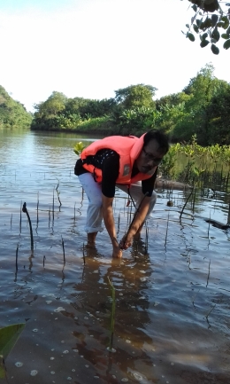 Penulis menanam phon mangrove di tepi sungai Bajulmati/Dok. pribadi