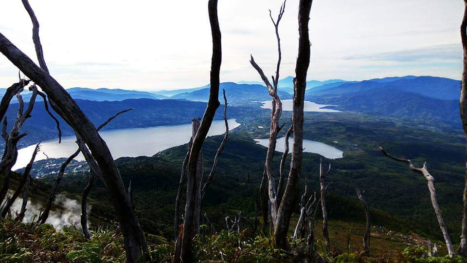 Pemandangan di hutan mati (dokpri)