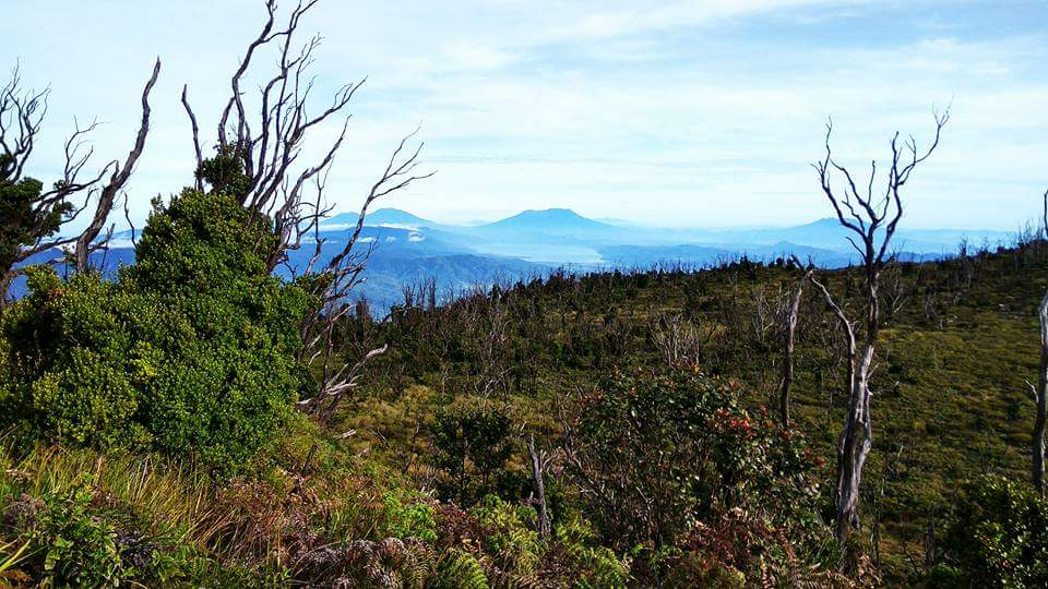 View dari hutan mati: gunung Marapi, Singgalang-Tandikek, dan Sago. Nampak pula Danau Singkarak (dokpri)