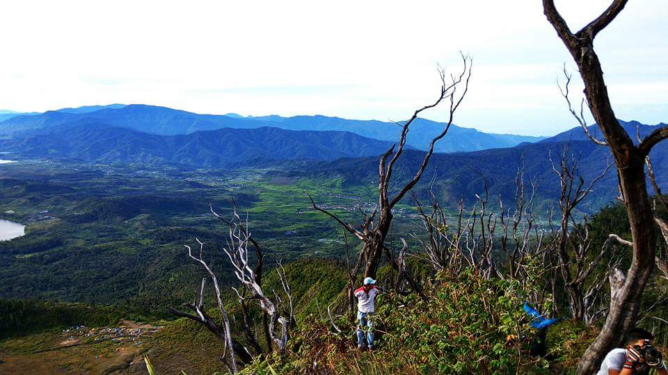 Pemandangan dari hutan mati (dokpri)