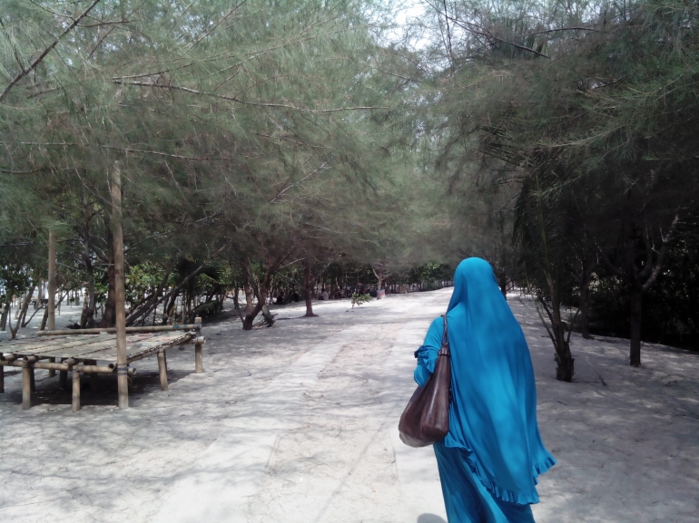 Pepohonan pinus yang tumbuh di antara hutan mangrove