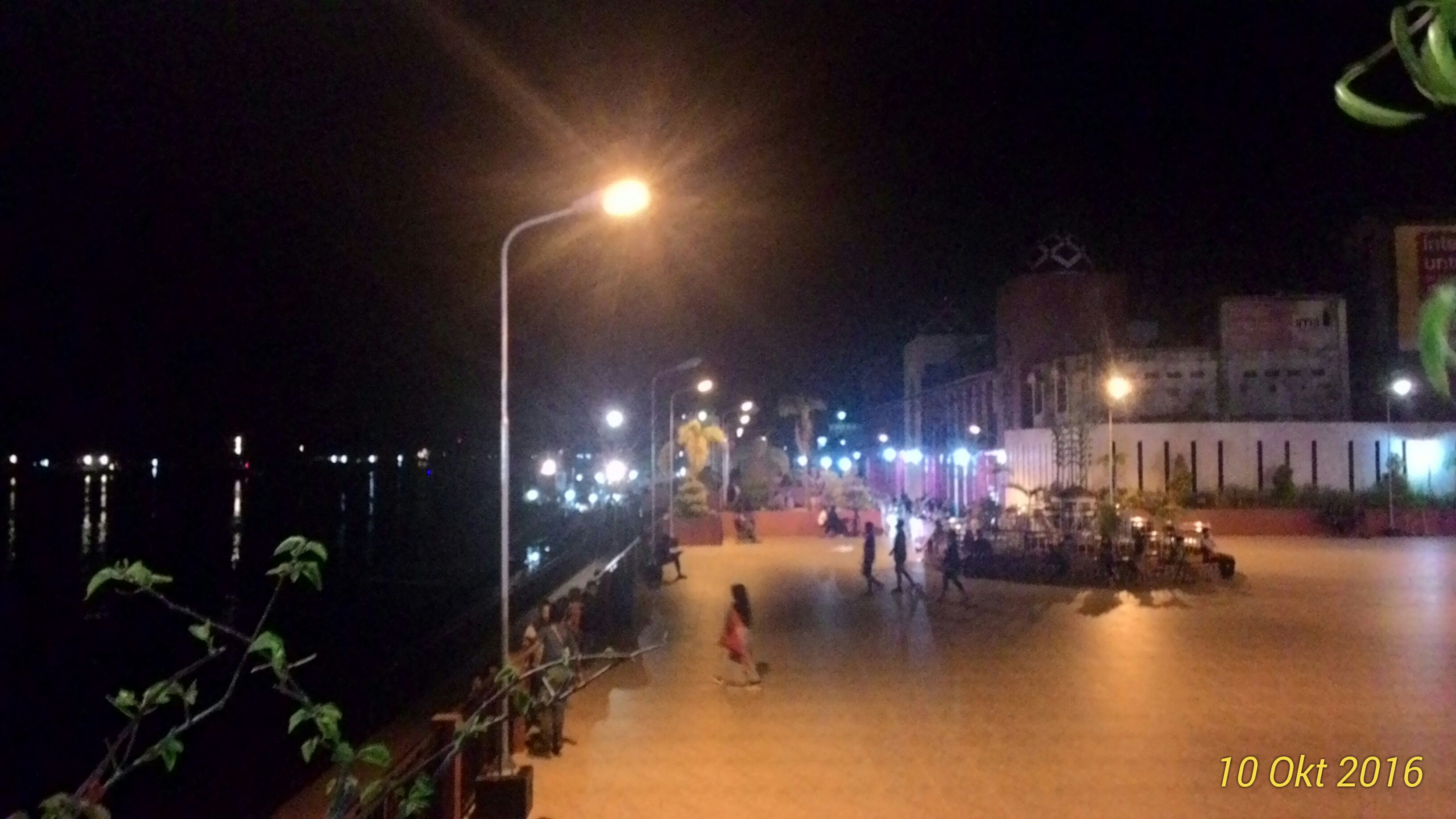 Taman Tugu Ikan Jelawat | dok.pribadi