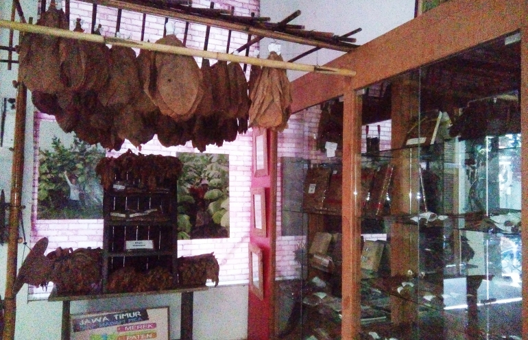 daun tembakau bermacam-macam jenis.