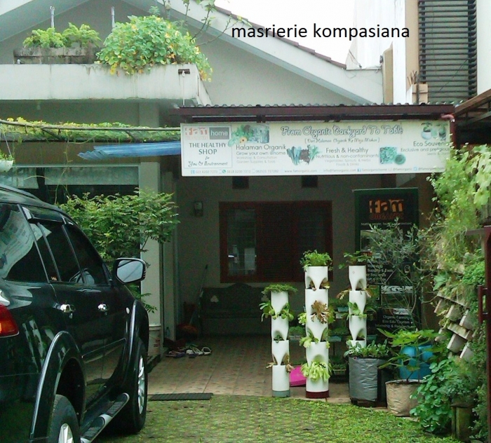 Cuci Mata dan Belajar Sehat di Kebun Sayuran  Organik  Cuci Mata dan Belajar Sehat di Kebun Sayuran  Organik