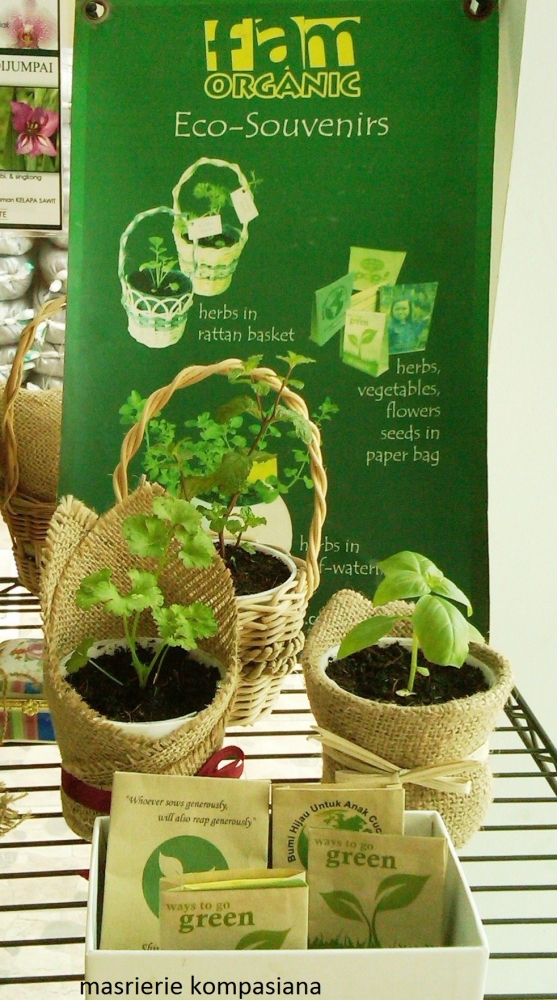 Souvenir tanaman sayur dan hias, Fam Organic , Halaman Organik di jalanCilandak, Sarijadi , Bandung
