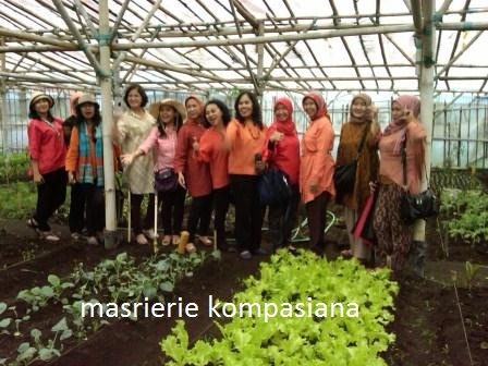 merekam gambar kenangan di kebun budi daya milik FamOrganic Bandung