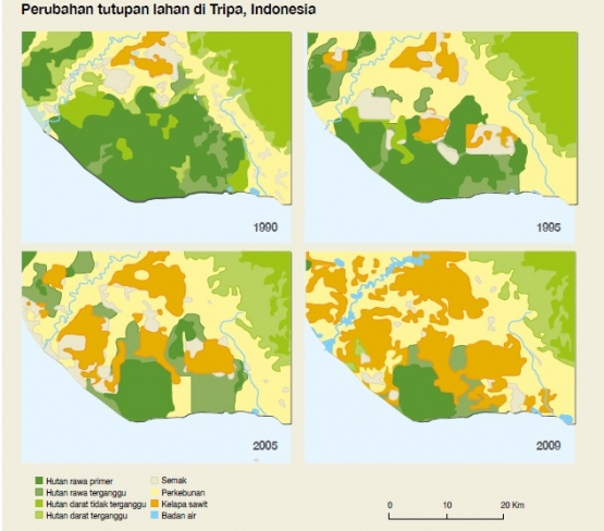 Ekspansi Perkebunan Kelapa Sawit Pada Lahan Gambut (Sumber: UNEP)