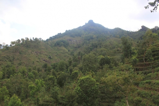 Jalanan menuju puncak sudah dibuatkan jalan yang mudah ditempuh oleh pemuda setempat.