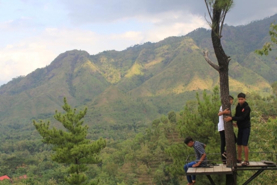 Rumah pohon dengan ketinggian sekitar 20 meter, bisa melihat Ponorogo dari ketinggian sekitar 750 meter di atas permukaan laut (MDPL).