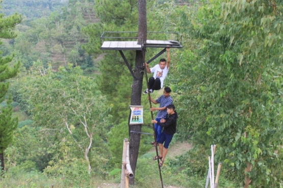 Setiap rumah pohon dibatasi yang naik karena menghindari resiko kerusakan.