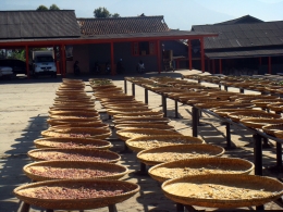 Menjemur padi di pabrik penggilingan Andris Wijaya. (Istimewa)