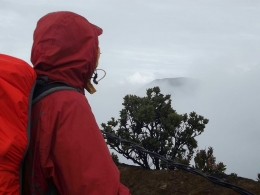 Puncak Gunung Pangrango tertutup kabut (Dok.teman)