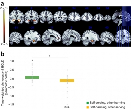Bagian otak yang bernama amygdala yang terkait ekspresi emosi akan semakin tidak sensitif dengan semakin meningkatnya freksunes dan kualitas kebohonga. Sumber: Nature.com