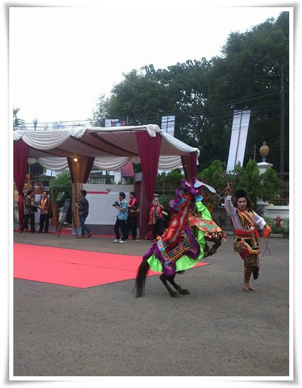 Jaran Kencak dari Lumajang, kuda-kuda dilatih menari dan dihias sehingga mirip sirkus (Dokpri)