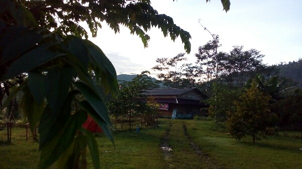 Suasana desa yang asri di hulu sungai Comal, Pemalang, Jawa Tengah (dokpri)
