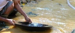 Masyarakat dayak yang sedang mendulang Emas di sungai Kahayan (dok.Yaser)