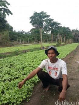 Suryono dianggap sebagai inspirasi bagi para petani di Siak Riau. (credit: detik.com)