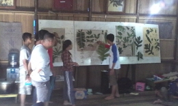 Para Relwan RebonK saat mempresentasikan identifikasi tumbuhan. Foto dok. Yayasan Palung