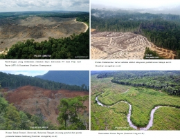 Kondisi hutan Indonesia yang semakin mengharukan (Sumber: Greenpeace/mongabay.co.id/blog.ac.id)