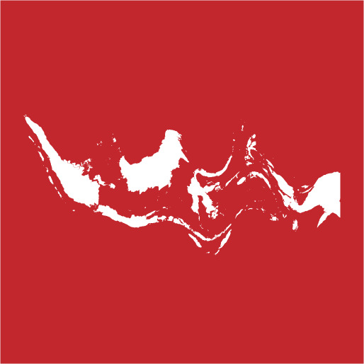 koleksi pribadi, Indonesia dalam Gonjang-Ganjing