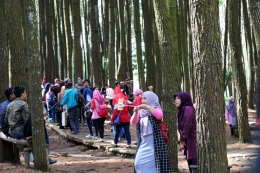 Aktivitas wisatawan di Hutan Pinus Mangunan (dok. pribadi)