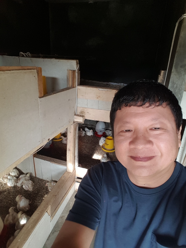 selfie di dalam kandang ayam sehat bertingkat, lokasi Rumah Pak RW (dokumentasi pribadi)