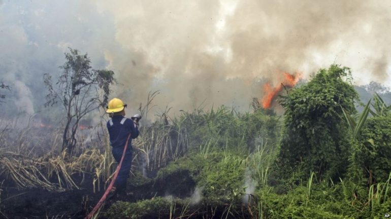 Memadamkan hutan dengan cara konvensional. (credit: VOA Indonesia)