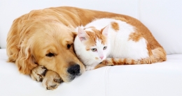 Sumber Gambar: mldspot.com