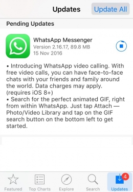 Update WhatsApp Video Call (iOS)