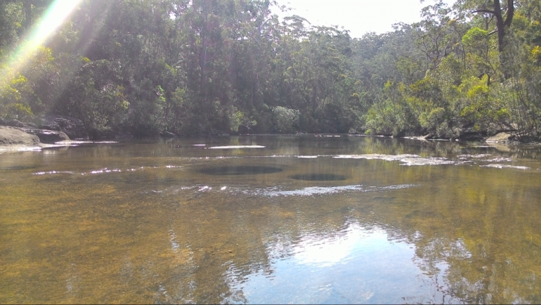 Lubang di tengah sungai, The Georges River | Dokumentasi Pribadi