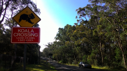 Marka jalan khas udah pasti cuma di Australia | Dokumentasi Pribadi