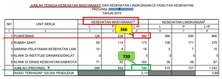 Data SDM kesmas Profil Kesehatan Provinsi X tahun 2015