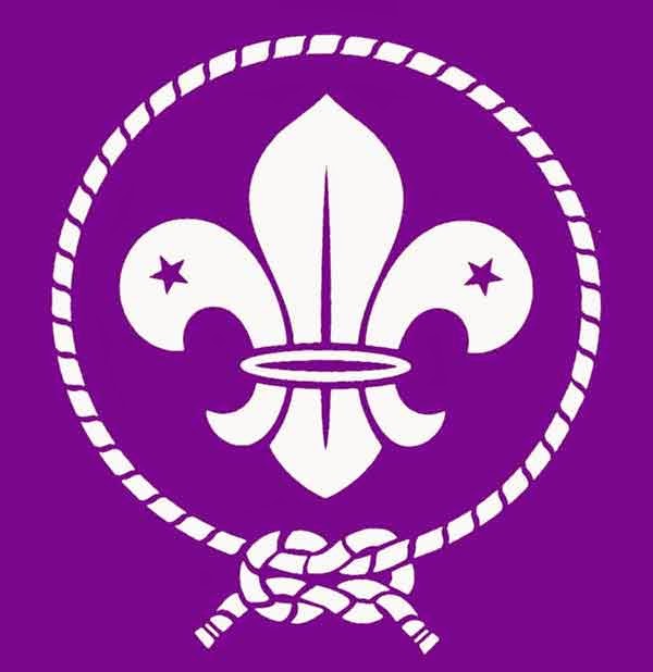 Logo WOSM yang benar, perhatikan perbedaan dengan logo SA di bagian bawahnya. (Foto: WOSM)