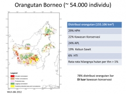 Jumlah Orangutan Kalimantan. Sumber Presentasi Sri Suci Utami Atmoko. Foto capture via Mongabay Indonesia