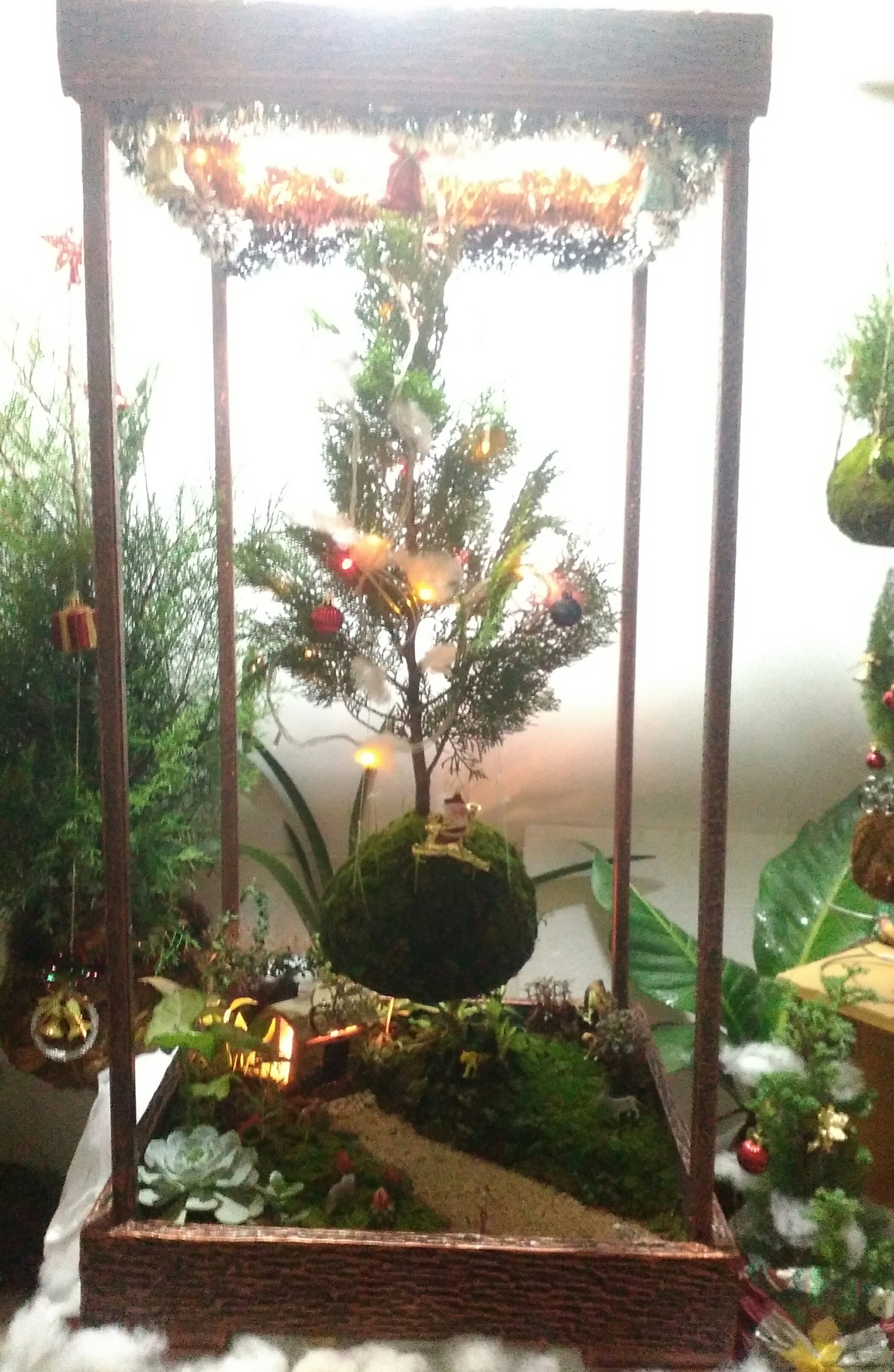 Pohon Natal Kokedama