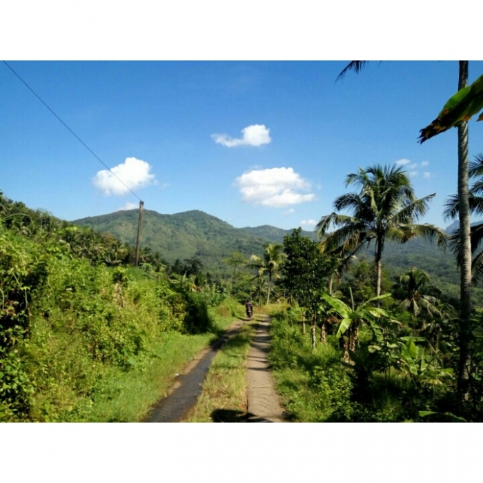 Contoh Paragraf Deskripsi Tentang Keindahan Alam Pedesaan Contoh Paragraf Deskripsi Tentang Keindahan Alam Pedesaan