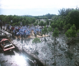Simbolisasi penanaman bibit mangrove (dokpri)