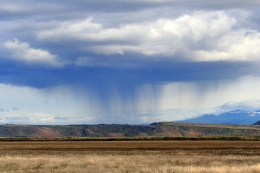 gambar dari www.kcet.org/socal-focus/rain-comes-to-the-desert
