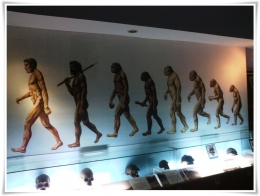Evolusi manusia purba (Dokpri)